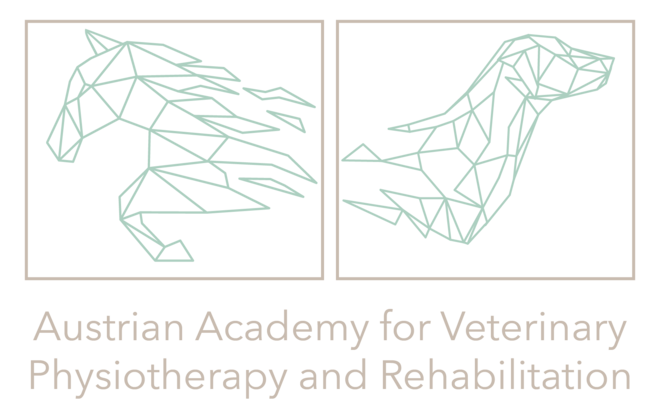 Vet Shockwave Academy